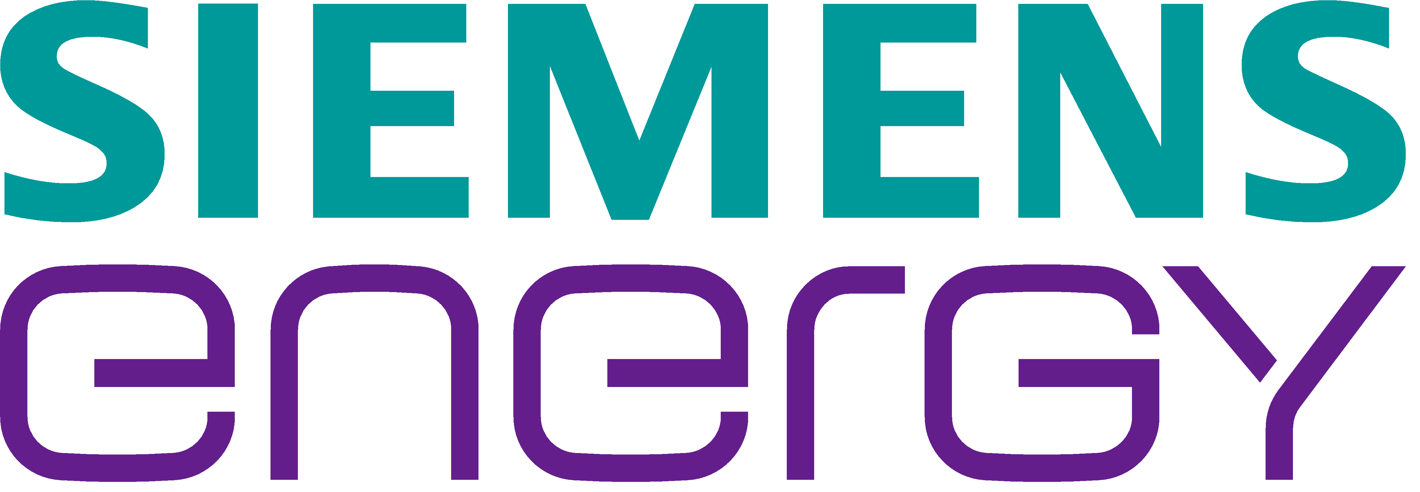 SE Logo Color RGB